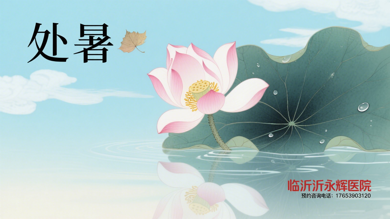 【处暑至・荷香绕，永辉陪您度秋朝】